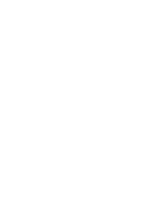 UNDP logo